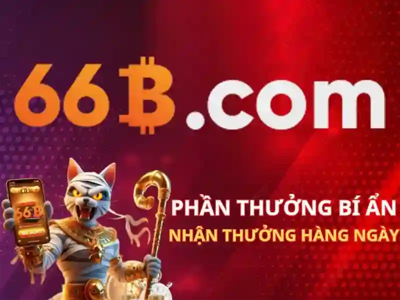 Trải nghiệm người dùng và phản hồi từ cộng đồng