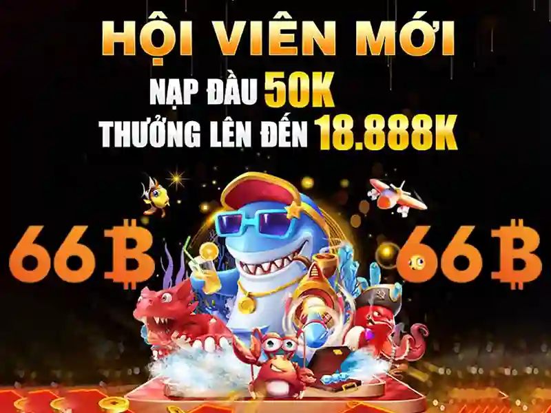 Khái niệm cơ bản về 66b