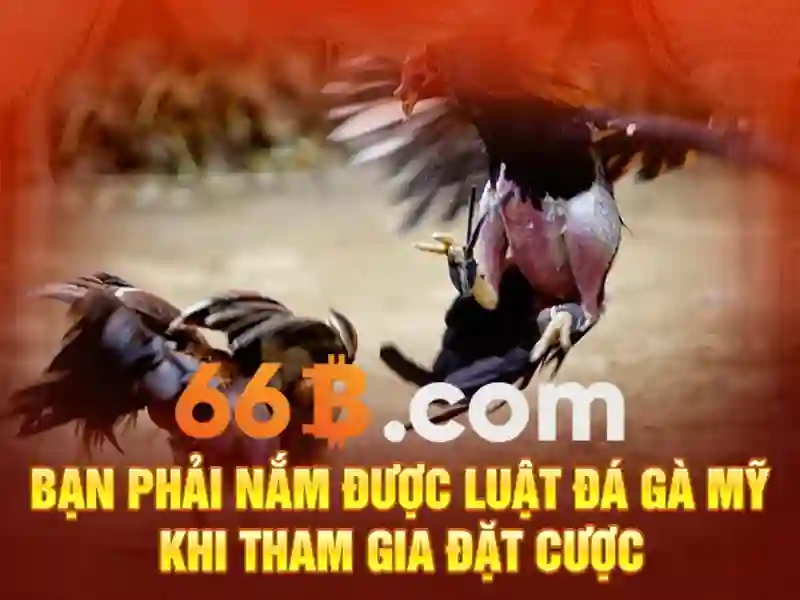 Tinh nang giai tri