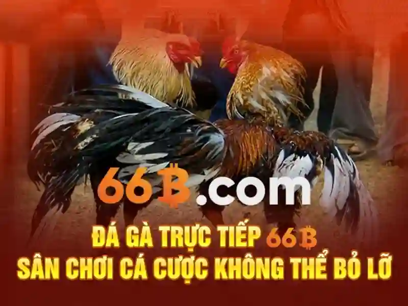 tous les jours 66b cmt8 – Tóm tắt chủ đề và giá trị cốt lõi