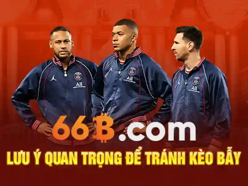 66b: Tổng quan về một thuật ngữ và tác động xã hội