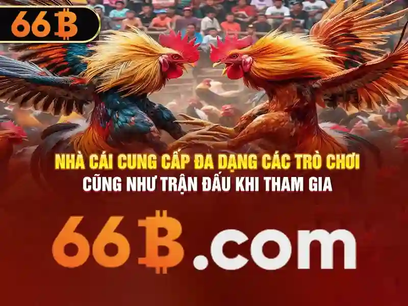 66B: Mô hình ngôn ngữ lớn và tương lai của trí tuệ nhân tạo