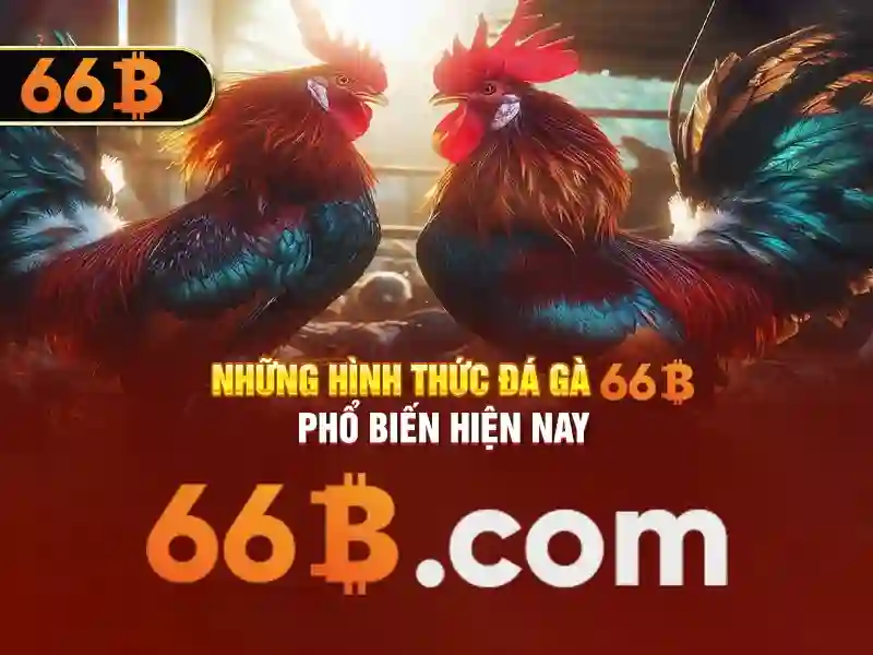66b cách mạng tháng 8 quận 3 tp hcm – Nguồn gốc và sứ mệnh
