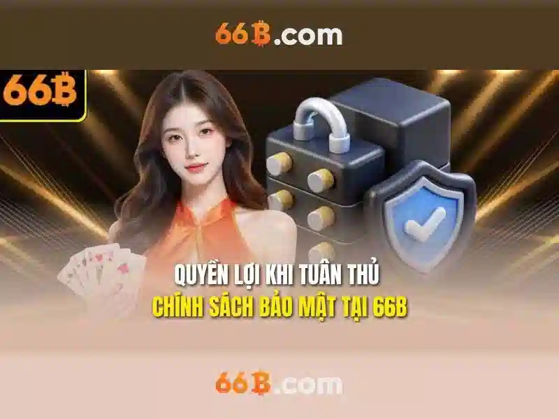 66b nguyễn sỹ sách: Trải nghiệm và tiềm năng trong hệ sinh thái