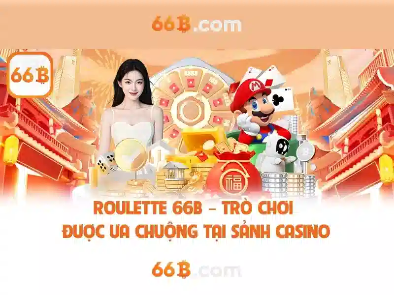 66B: Kích thước, tiêu chuẩn và ứng dụng