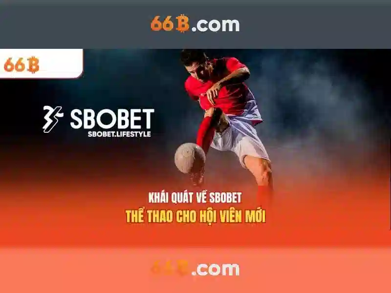 Định nghĩa và ý nghĩa của 66b