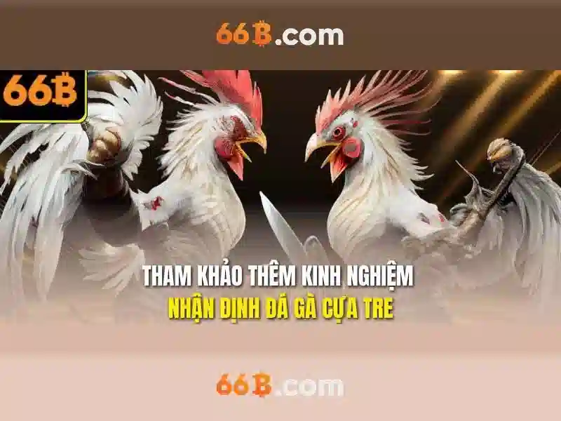 Endrick Rời Real Madrid – Câu Chuyện Phía Sau Quyết Định