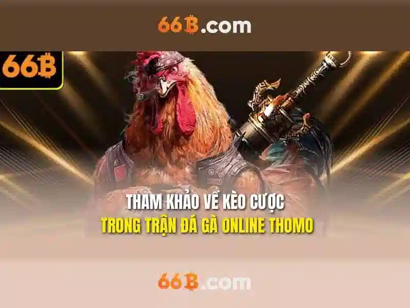 Giới thiệu về 66B