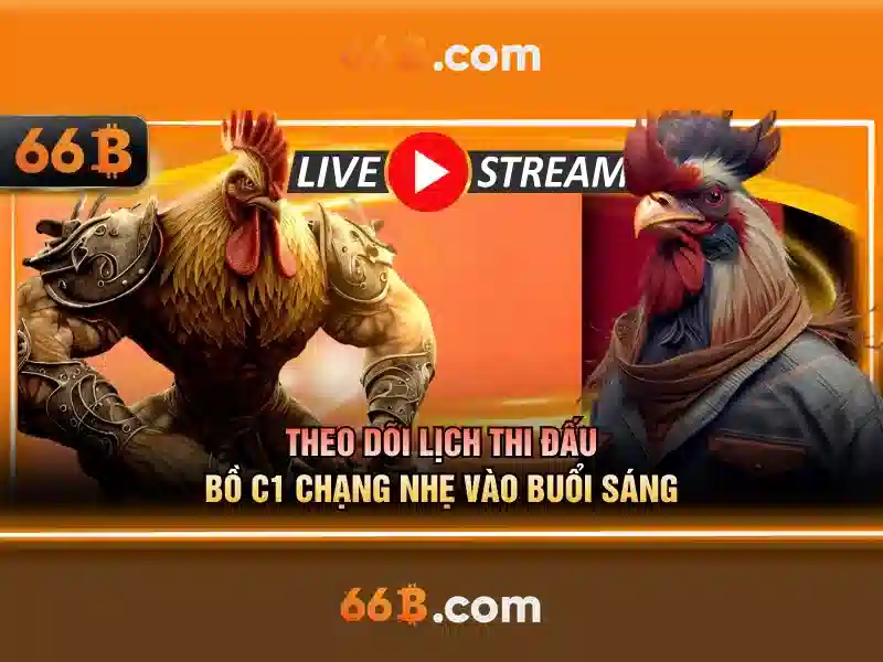 Trải nghiệm người dùng và phản hồi từ cộng đồng
