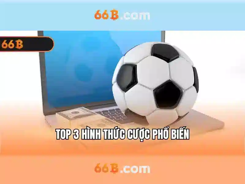 sector 66b mohali: Tổng quan, ứng dụng và tương lai