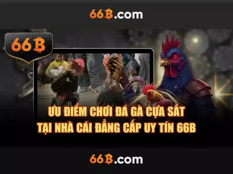 Định nghĩa và kích thước của 66b