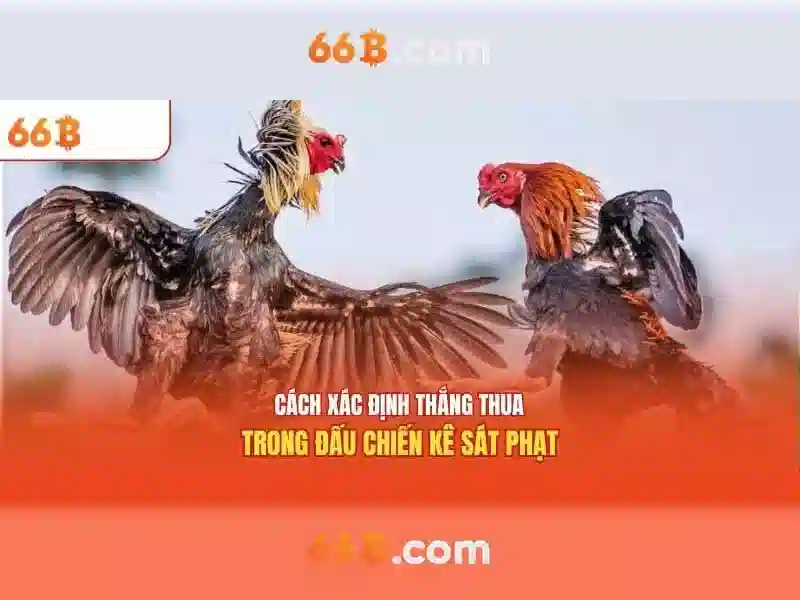 66b và nguồn gốc của nó