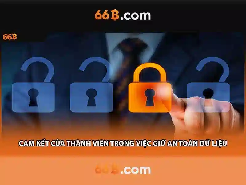 Ứng dụng và triển vọng