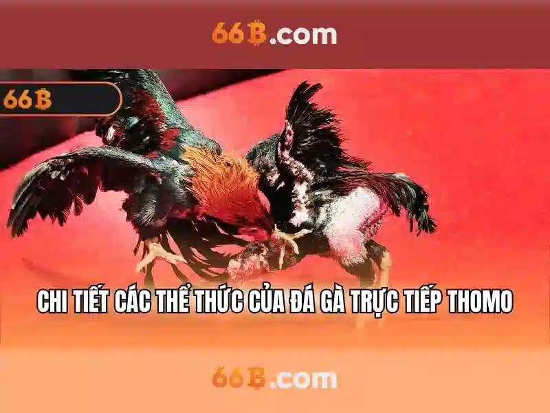 Áp dụng và thách thức