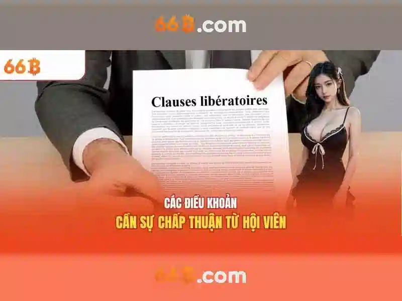 Giới thiệu về 66B