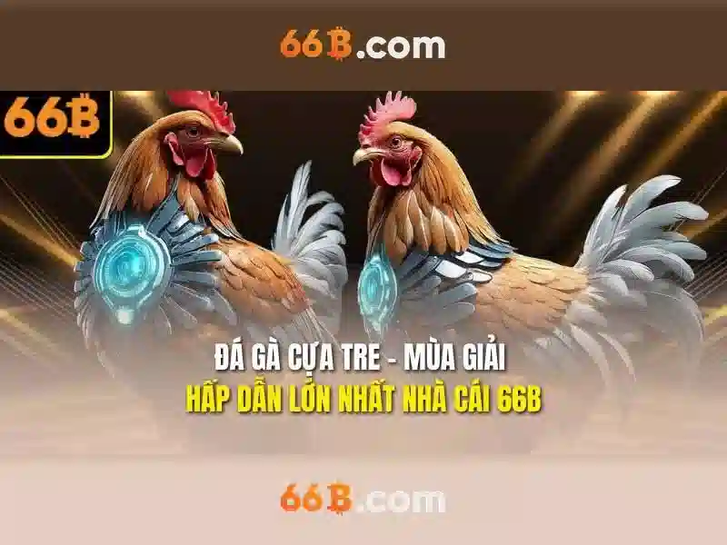 Tương lai của 66b và hướng phát triển