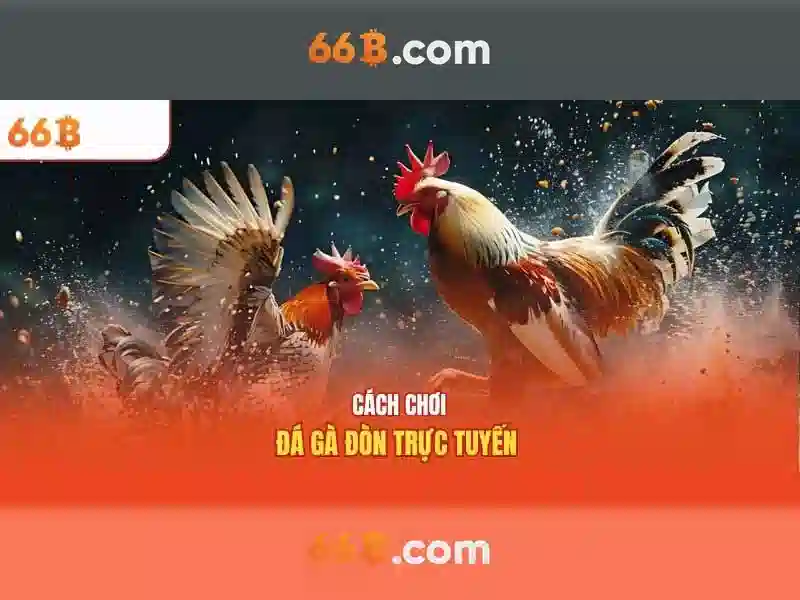 66b: một khái niệm thú vị trong thế giới số