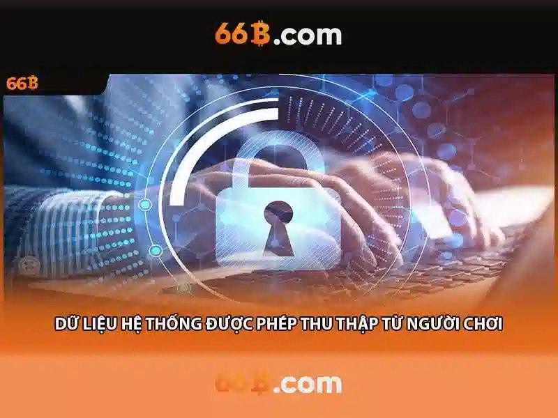 Hiệu suất và nguồn lực