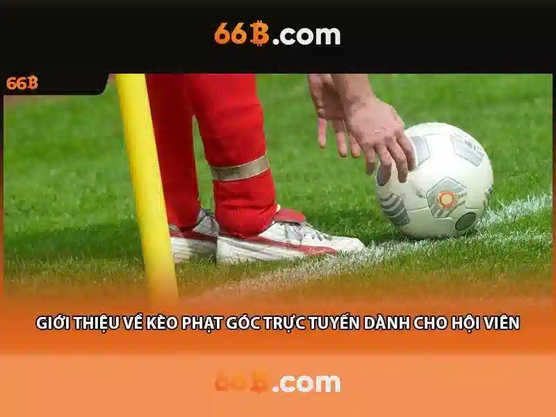 66b nguyễn chí sách phường 15 tân bình – Sản phẩm và ứng dụng