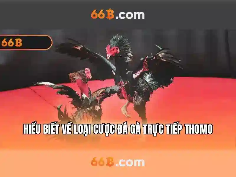 Phân tích và ứng dụng của 66b