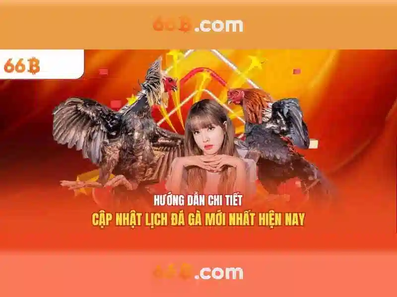 Định hướng và tương lai