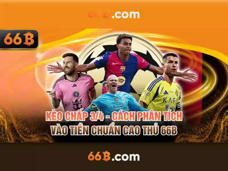 66b là gì