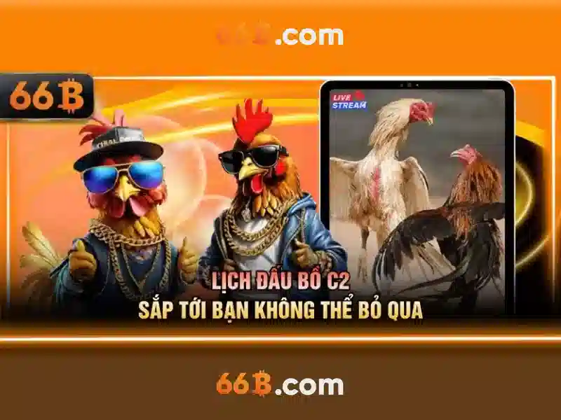 Đặc điểm kỹ thuật