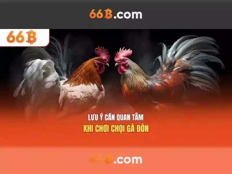 66b: mô hình ngôn ngữ 66 tỷ tham số và những điều cần biết