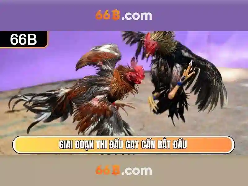 Endrick Rời Real Madrid – Câu Chuyện Phía Sau Quyết Định