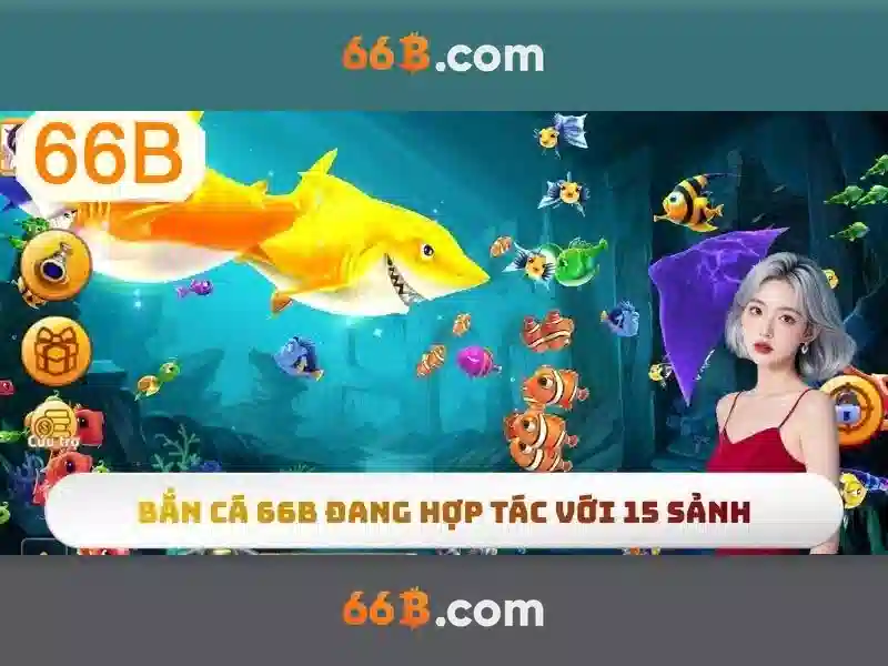 Giới thiệu về 66B