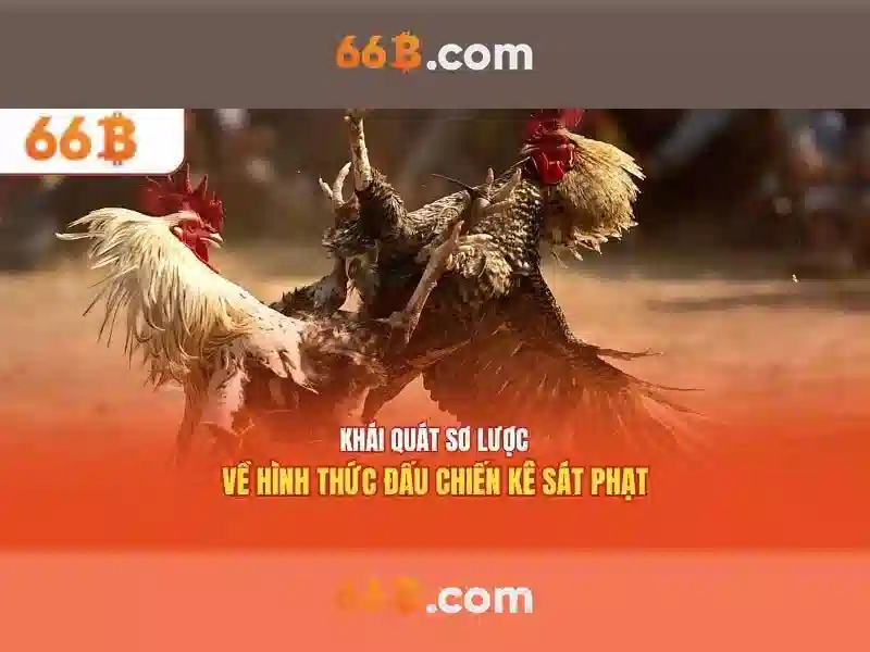 Endrick Rời Real Madrid – Câu Chuyện Phía Sau Quyết Định