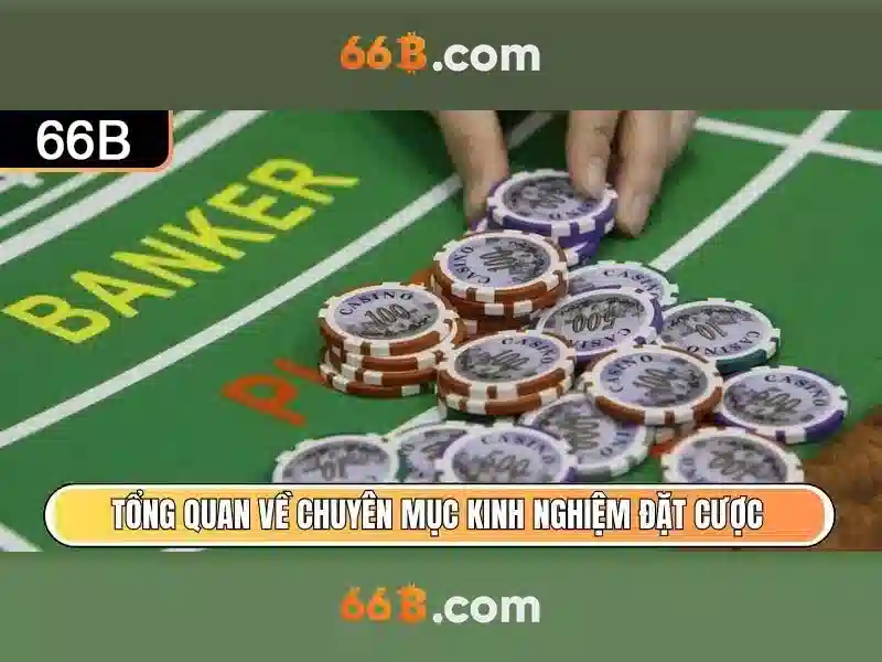 Cấu trúc và quy mô