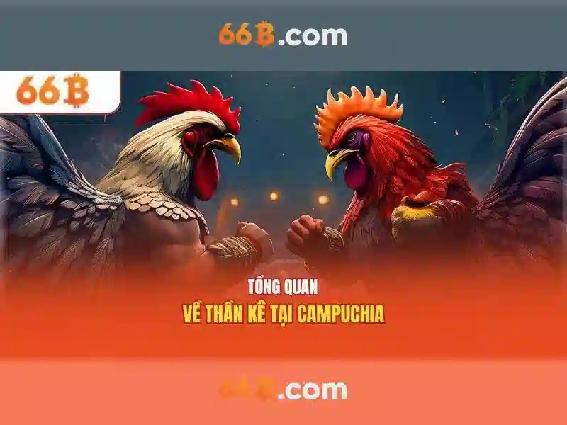 Phương pháp nghiên cứu và cách đo lường
