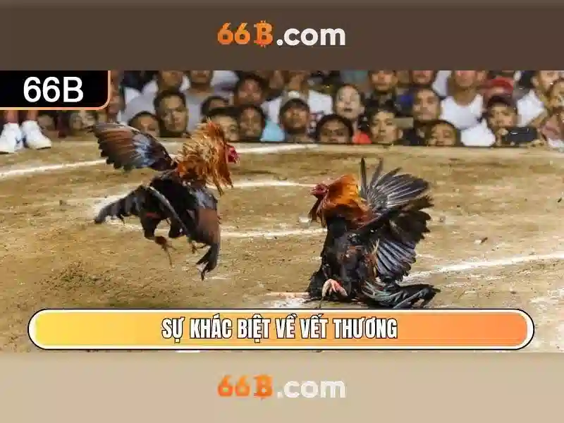 Hiệu chỉnh và an toàn