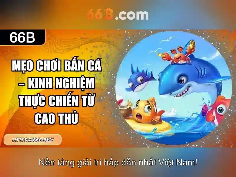 Khả năng và giới hạn