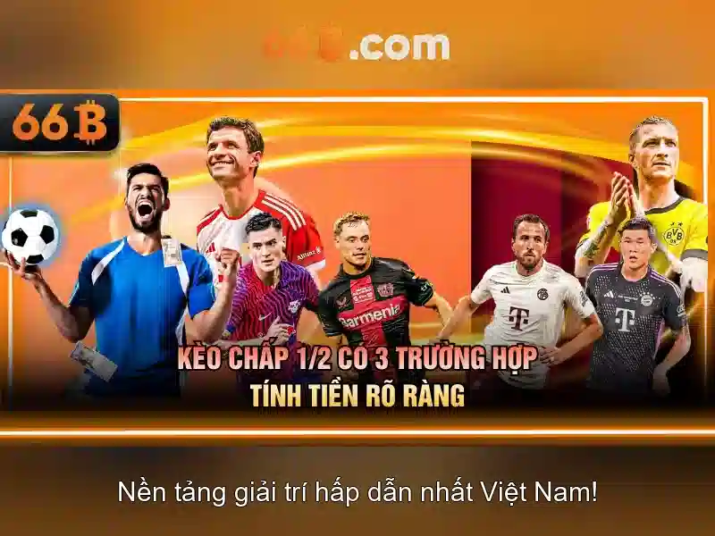 Ví dụ thực tế về 66b\n<h>Kết luận về 66b</h>\n<p><span style=