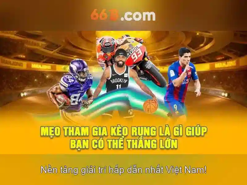 66b trong công nghệ và thiết kế