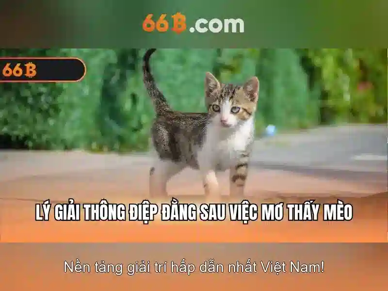 Giới thiệu về 66B