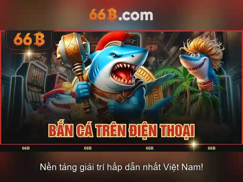 Kích thước và cấu trúc của 66b