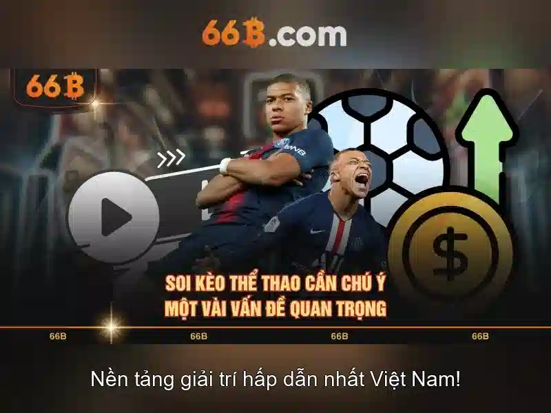 66b là gì?