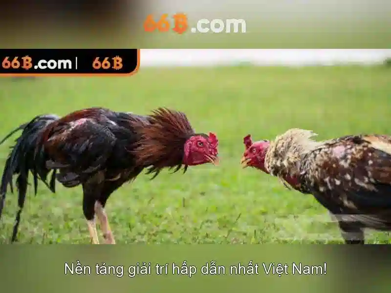 Ứng dụng nổi bật của 66b trong công nghệ\n\n<h2><b>Tác động xã hội và triển vọng tương lai</b></h2>\n<p><span style=