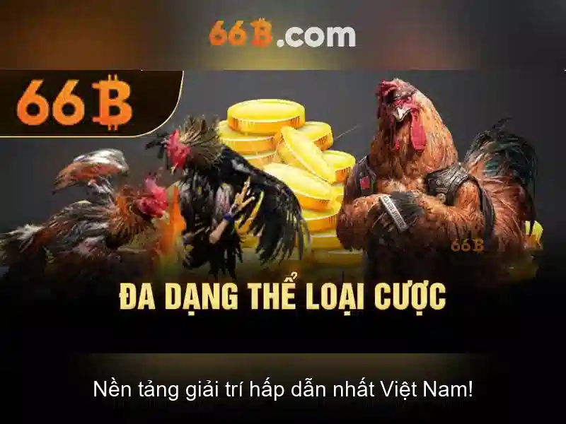 cd 66b pe – Trải nghiệm và đánh giá 66b mới nhất tại Hồ Chí Minh