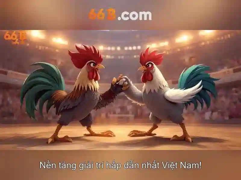Đặc điểm nổi bật của 66B