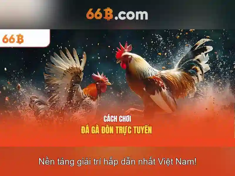 66b và các ứng dụng thực tế