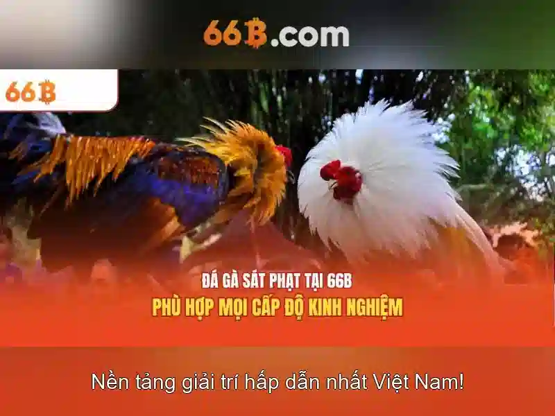 66b: Khái niệm và ứng dụng trong công nghệ hiện đại