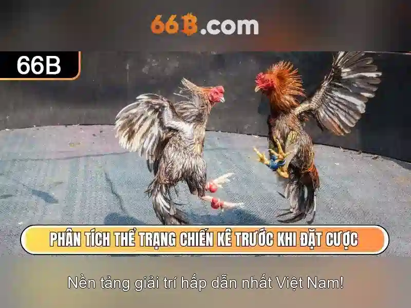 66B: mô hình ngôn ngữ lớn có 66 tỷ tham số