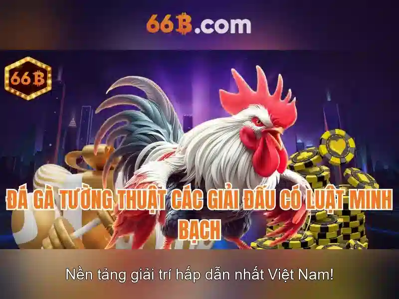 Ứng dụng và tiềm năng của 66b trong công nghệ