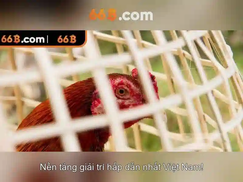 Endrick Rời Real Madrid – Câu Chuyện Phía Sau Quyết Định