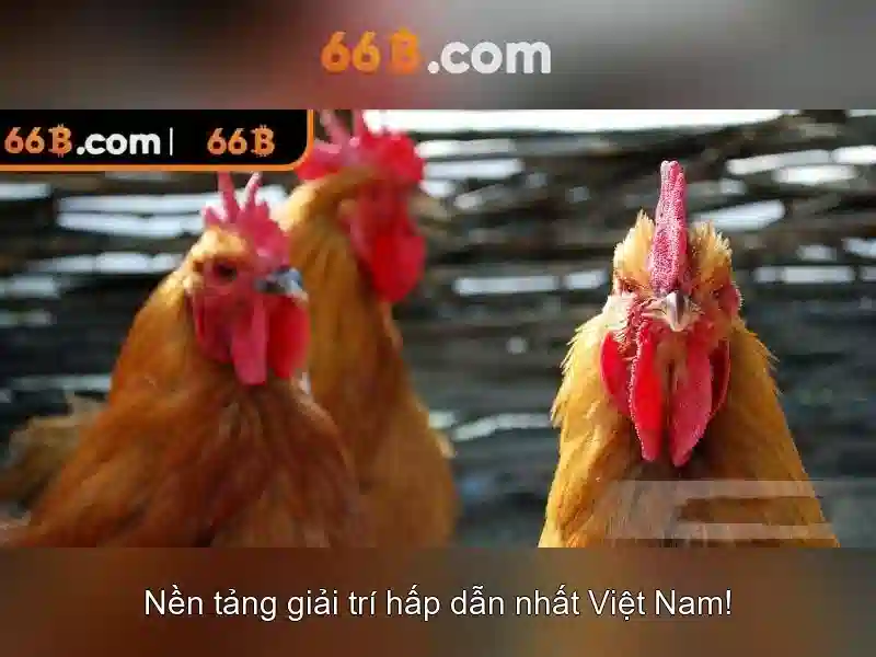 Hiệu suất, benchmark và giới hạn