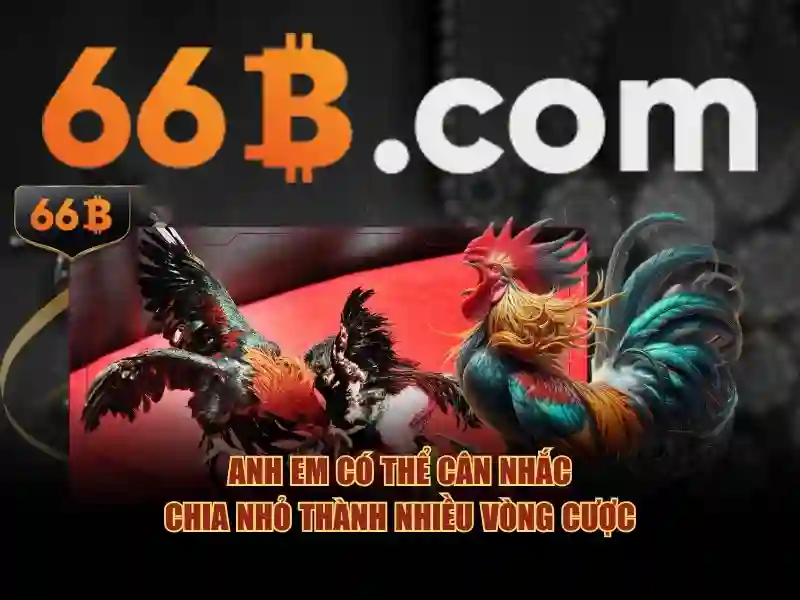 66b: Khái niệm giả tưởng và phân tích dữ liệu 66 bit
